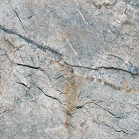 mount_celestial.webp