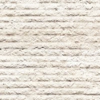 stone-ridged.webp